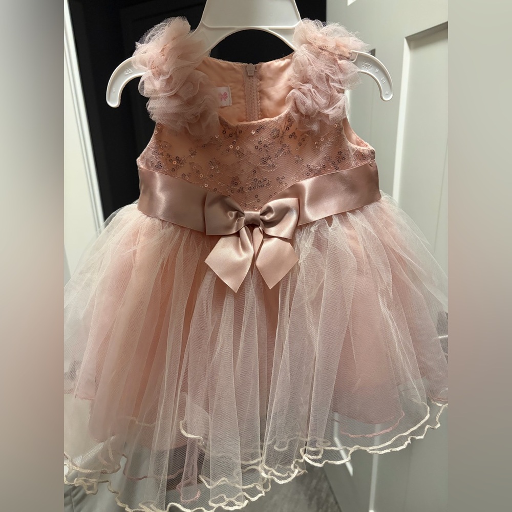 Bonnie Baby Blush Tulle Dress with Satin Bow